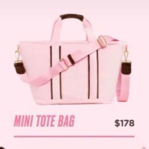 Juicy Couture x Stoney Clover Lane Velvet Mini Tote